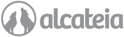 Alcateia Marketing & Design Agency